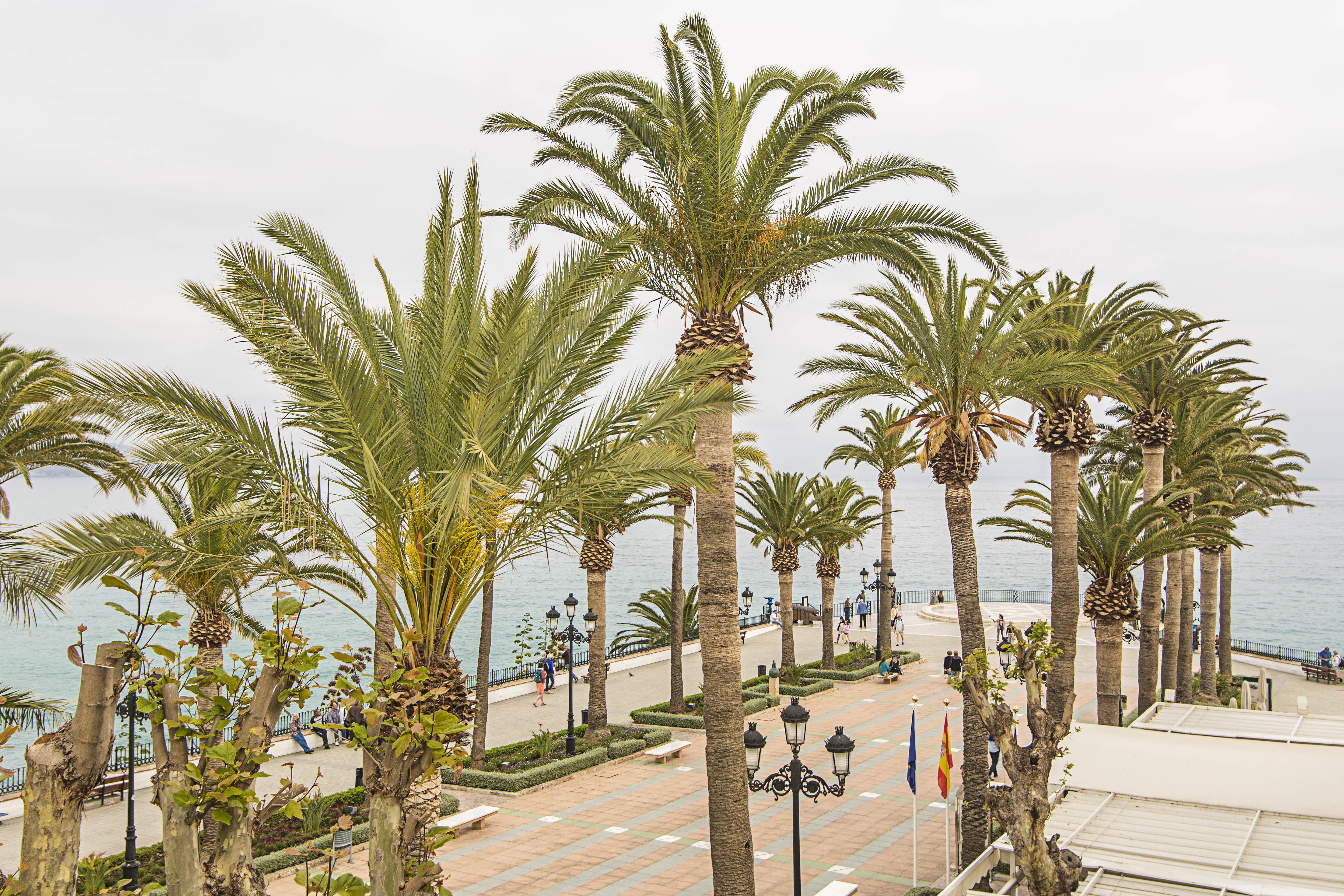 Hostal Marissal By Dorobe Nerja Dış mekan fotoğraf